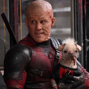 Meet your Posher, Gregory